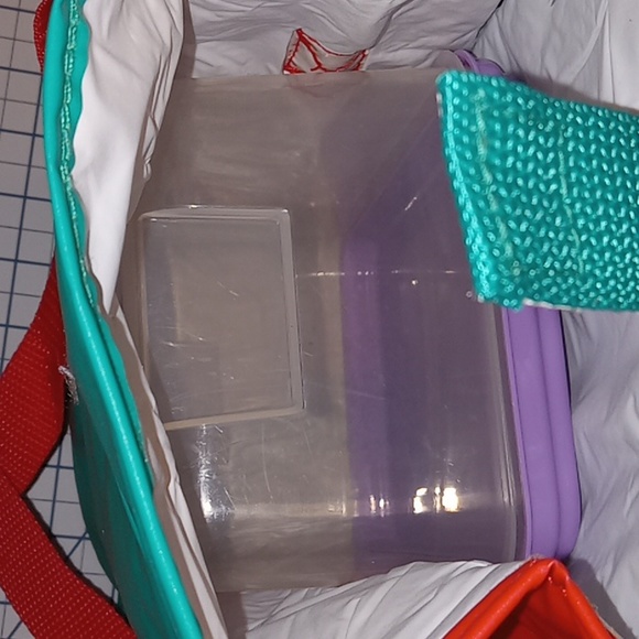 Lunch Tote Bag, Green and Red, Pre-owned - Picture 7 of 10